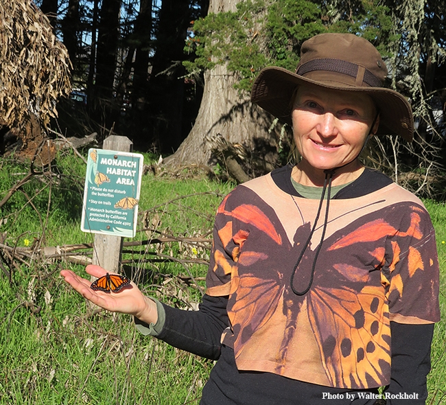 Rita LeRoy of Vallejo holds a Vacaville monarch before releasing it at Lighthouse Field State Park. (Photo by Walter Rockholt)
