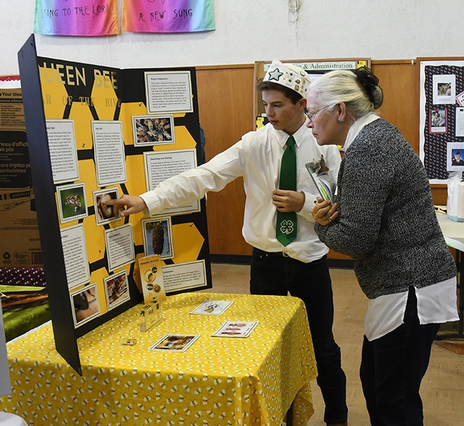 Evaluator Linda Layton of Sherwood Forest 4-H Club, Vallejo, talks to Ryan Anenson about his honey bee project at the Solano County 4-H Project Skills Day. (Photo by Kathy Keatley Garvey)