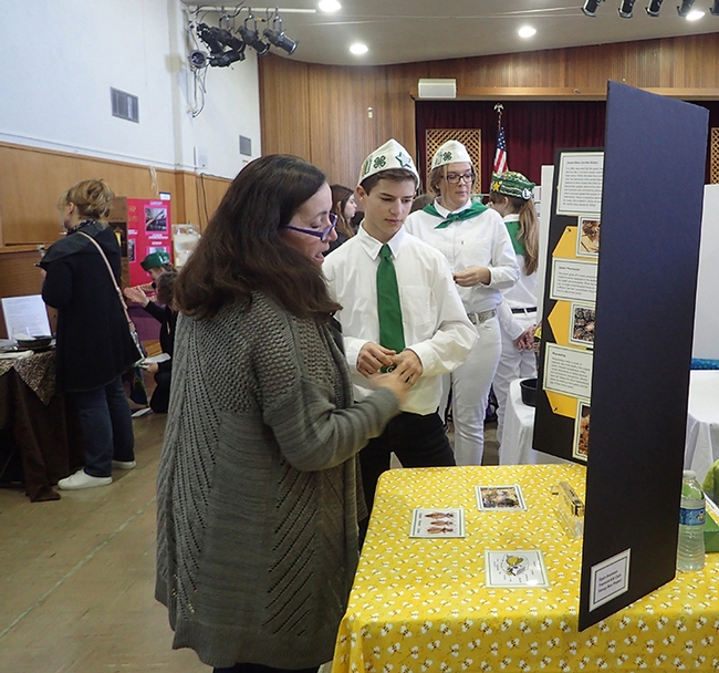 Tremont 4-H Club member Ryan Anenson, a new beekeeper, answers questions from evaluator Barbara Forbes of the Suisun Valley 4-H Club at the Solano County 4-H Project Skills Day. (Photo by Kathy Keatley Garvey)