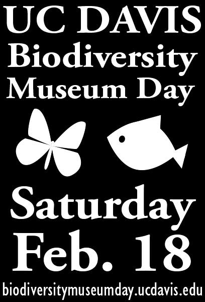 UC Davis Biodiversity Museum Day is Saturday, Feb. 18.