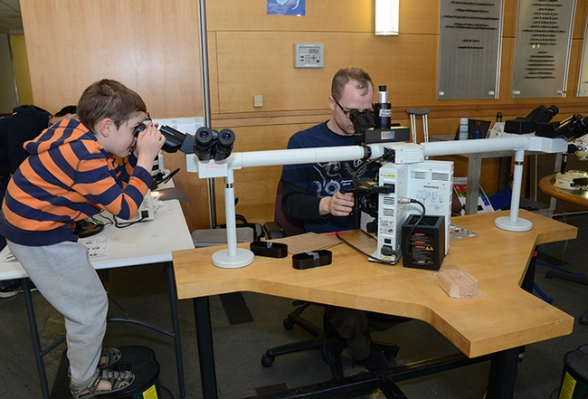 UC Davis graduate student and nematologist Corwin Parker looks through a microscope while a young visitor does the same. (Photo by Kathy Keatley Garvey)