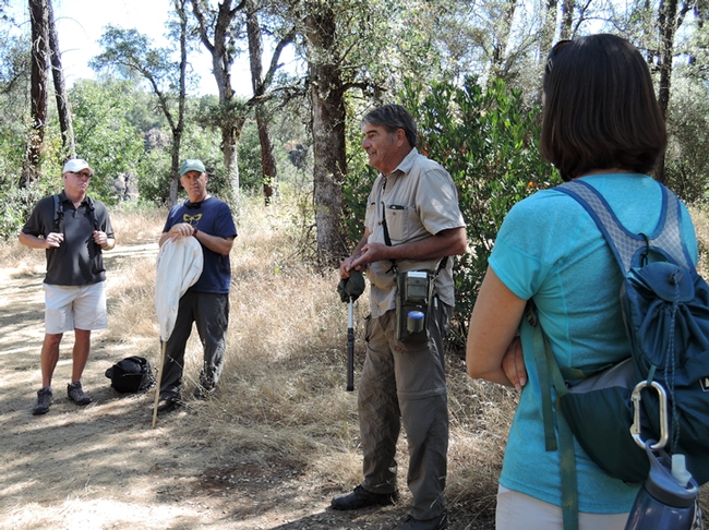 Bohart Museum associate Greg Kareofelas talks to butterfly enthusiasts on a Placer Land and Trust tour looking for the California dogface butterfly, the state insect. (Photo by Kathy Keatley Garvey)