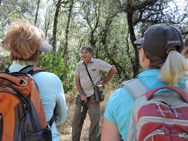 Framed by hikers, Greg Kareofelas tells the history of the California dogface butterfly, the state insect. This photo was taken on Placer Land and Trust acreage near Auburn. (Photo by Kathy Keatley Garvey)