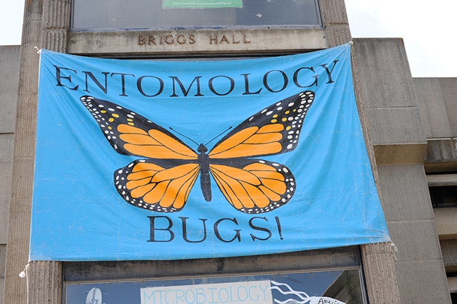 A colorful banner fronts Briggs Hall, home of the UC Davis Department of Entomology and Nematology. (Photo by Kathy Keatley Garvey)