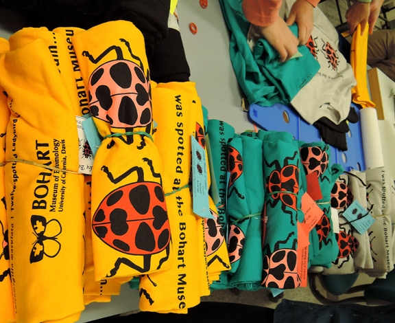Seeing spots--scores of t-shirts are lined up, ready to be placed in the gift shop. (Photo by Kathy Keatley Garvey)