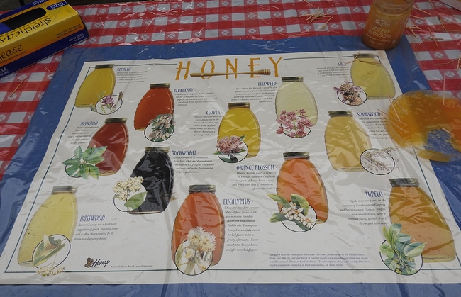 A poster describing many honey varietals drew a lot of interest  at the honey tasting table. (Photo by Kathy Keatley Garvey)