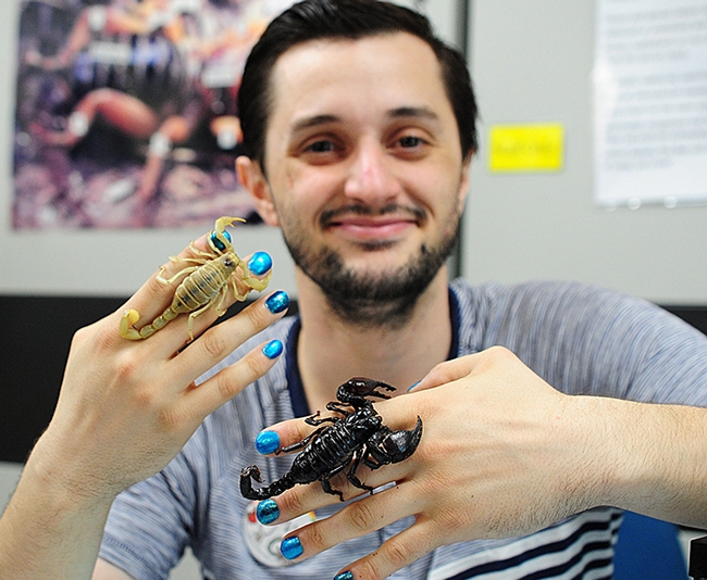 UC Davis entomology undergraduate student Wade Spencer holds his two scorpions, Celeste (left) and Hamilton. Fairgoers will be able to see and photograph them on Friday, but not hold them. Scorpions are venomous. (Photo by Kathy Keatley Garvey)