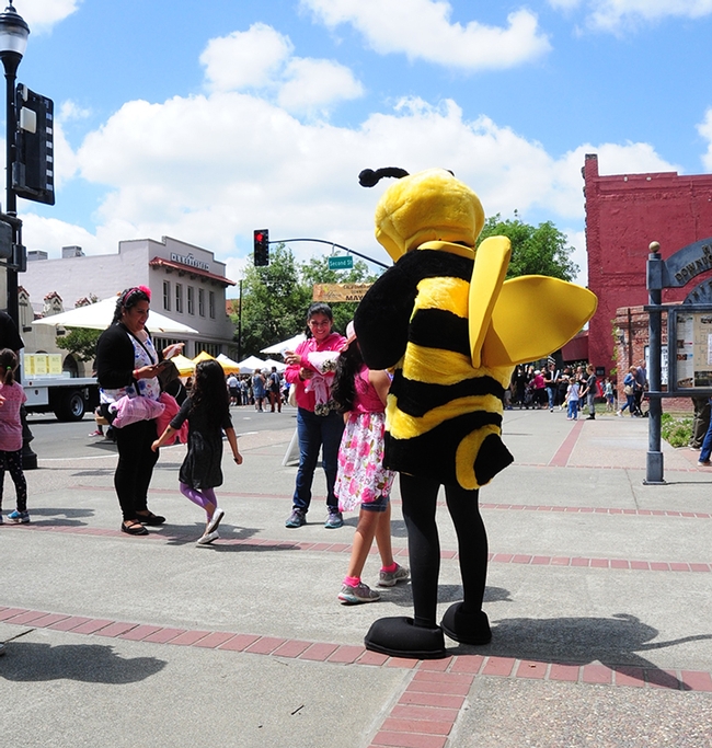 This honey bee buzzed the California Honey Festival. (Photo by Kathy Keatley Garvey)