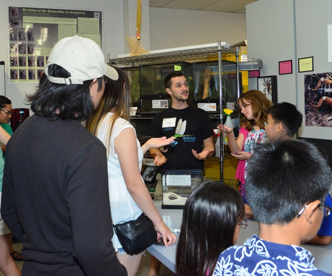 This way to the petting zoo! UC Davis entomology undergraduate student Wade Spencer talks about the Madagascar hissing cockroaches, walking sticks and tarantulas at the Bohart Museum. (Photo by Kathy Keatley Garvey)