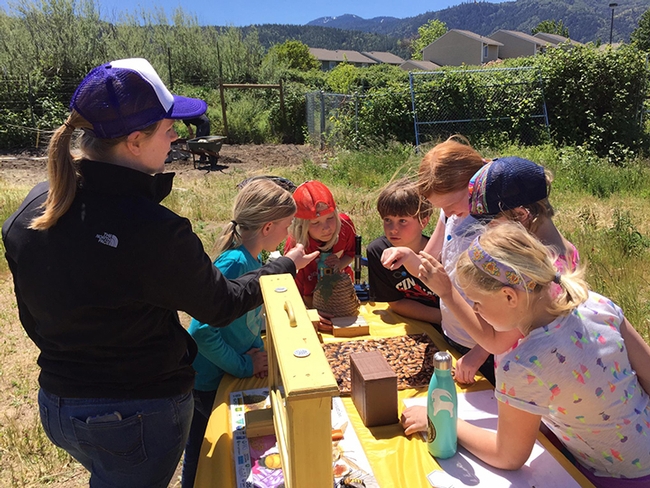 This is a scene from one of the Bee Girl programs in southern Oregon. (Photo courtesy of Sarah Red-Laird)