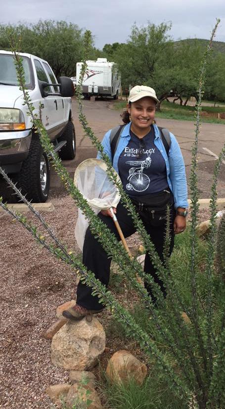Entomologist Melissa Cruz will co-lead the UC Davis Arboretum event on Sunday, Sept. 10. She is shown here in Arizona desert with Ocotillo (Fouquieria splendens).
