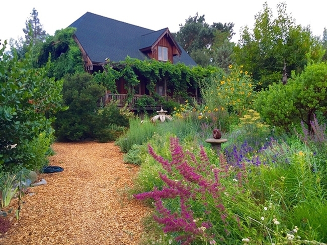 This is the Hopland home of Kate and Ben Frey, featuring gardens by Kate and rustic structures and whimsical art by Ben. (Photo by Kate Frey)