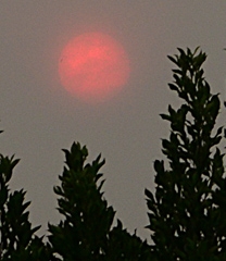 Reddish sun, smoke-choked sky on Oct. 10 in Vacaville, Calif. (Photo by Kathy Keatley Garvey)