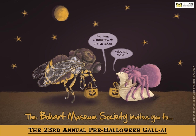 The Halloween party invitation from the Bohart Museum of Entomology featured an Acroceridae fly and larva. (Images the work of Nicole Tam, UC Davis alumnus)