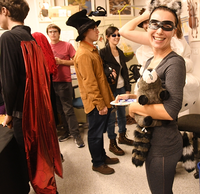 UC Davis PhD student Jessica Gillung dressed as a raccoon at the Bohart Museum of Entomology's Halloween party. (Photo by Kathy Keatley Garvey)