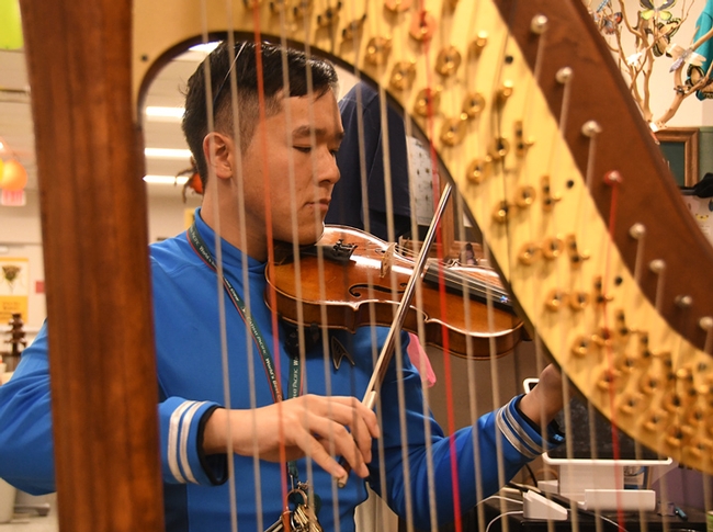 Framed by a harp, Andre Poon softly played the violin. (Photo by Kathy Keatley Garvey)