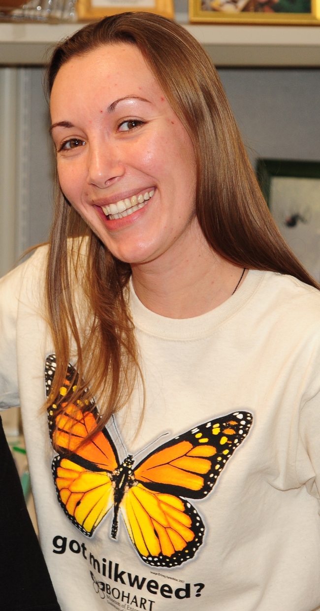 Jessica Gillung, PhD student, will take about members of the family Acroceridae, endoparasitoids of spiders. (Photo by Kathy Keatley Garvey)