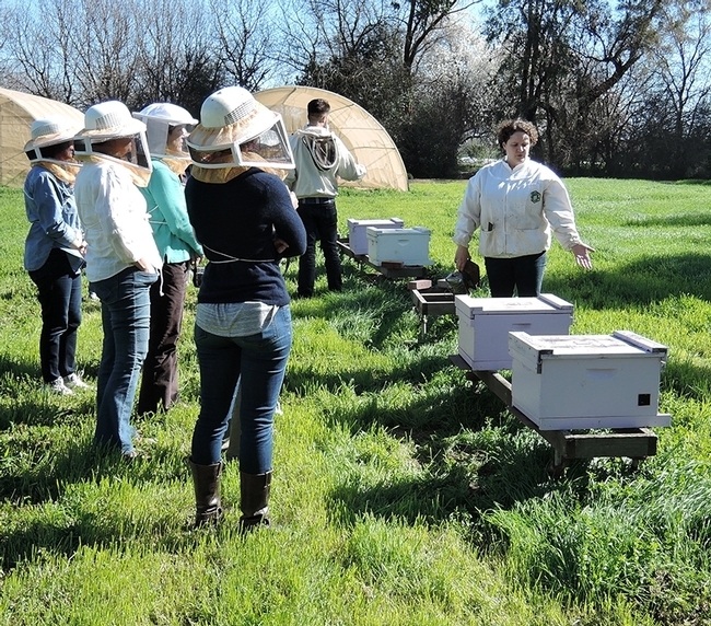 Want to purchase a gift certificate for a UC Davis beekeeping class? This is Extension apiculturist Elina Lastro Niño teaching a class. (Photo by Kathy Keatley Garvey)