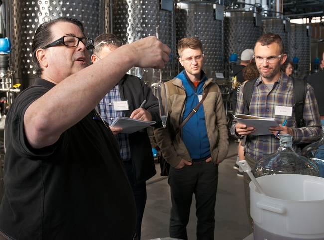 Pete Bakulic (left), president of the Mazer Cup International, the world's largest mead competition, leads his group of mead makers during the UC Davis Honey and Pollination Center’s boot camp in the UC Davis Winery. (Photo courtesy of the Honey and Pollination Center)