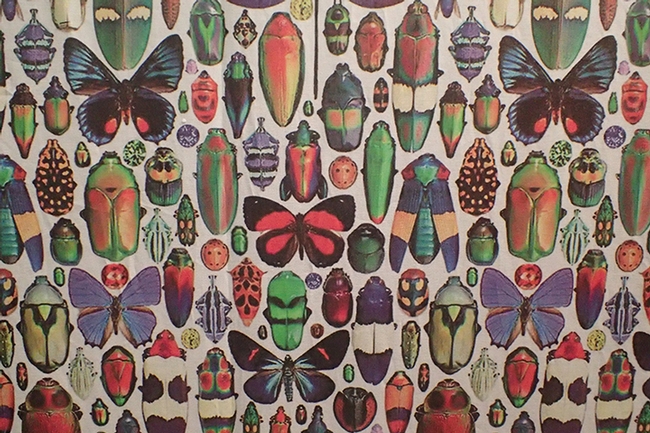 The Design Museum exhibit in Cruess Hall includes colorful insect-themed fabric. It will be open from 2 to 4 p.m. on Sunday, Jan. 21. (Photo by Kathy Keatley Garvey)