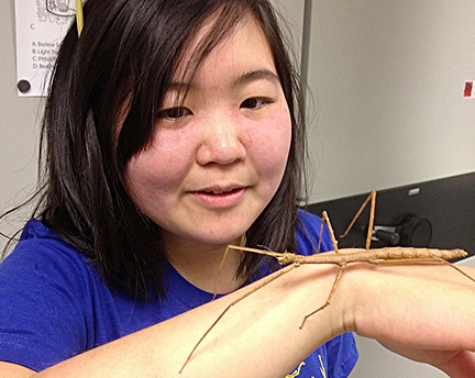 Ivana Li, entomologist/artist (Photo by Kathy Keatley Garvey)