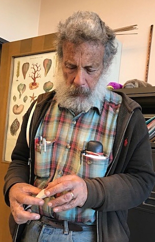Art Shapiro, distinguished professor of evolution and ecology with the first cabbage white butterfly of the year, collected in West Sacramento, Yolo County. (Photo by Sherri Manns, Department of Evolution and Ecology)