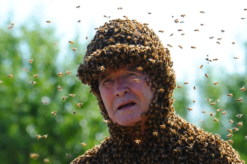 man with bees