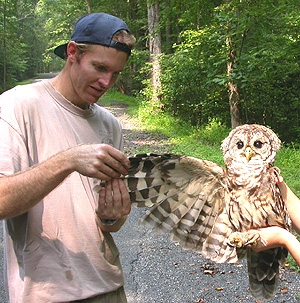 Biologist Marm Kilpatrick won an American Ornithologists' award in 2008 for his work on avian infuenza 
