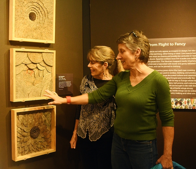 Professor emerita Ann Savageau (left) of the Department of Design shows her hornet nest art to Lynn Kimsey, director of the Bohart Museum of Entomology. Many insect specimens are on loan from the Bohart Museum in the Design Museum exhibition. (Photo by Kathy Keatley Garvey)