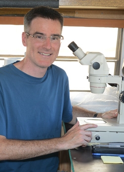 Professor Neal Williams of UC Davis was part of the research team. (Photo by Kathy Keatley Garvey)