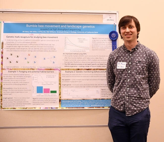 UC Davis doctoral student John Mola won the Graduate Student Research Poster Competition at the UC Davis Bee Symposium with his work on bumble bees. (Photo by Kathy Keatley Garvey)