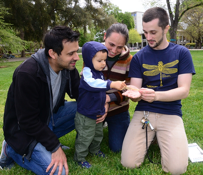 UC Davis geography doctoral student, Carlos Beccera, and his wife Stefani Florez and their son Matias Becerra, 23 months old, get up close and personal with a desert hairy scorpion held by Wade Spencer. Beccera considered majoring in entomology but chose geography. (Photo by Kathy Keatley Garvey)