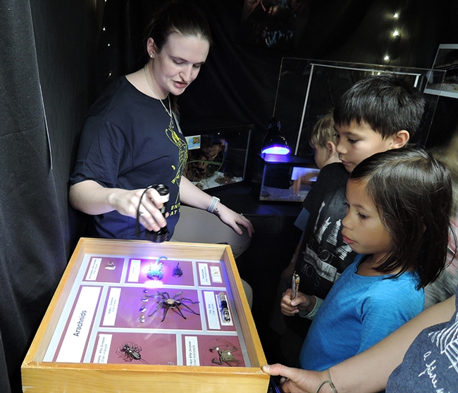 UC Davis entomology doctoral candidate Charlotte Herbert shows youngsters how scorpions fluoresce under ultraviolet light. (Photo by Kathy Keatley Garvey)