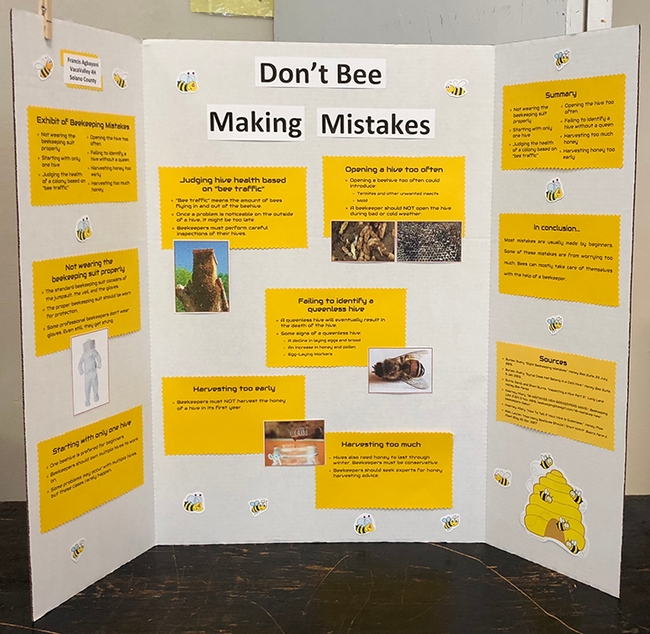 Beekeeper Francis Agbayani, 12, of the Vaca Valley 4-H Club, Vacavile, is displaying his 4-H project, 