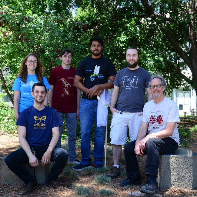 Wearing Bohart Museum of Entomology t-shirts are (seated) UC Davis student Wade Spencer (left) and senior museum scientist Steve Heydon. In back are UC Davis students and Bohart associates Eliza Litsey, Parras McGrath, Lohit Garikipati, and Brennen Dyer.  Spencer, Litsey, Garikipiati and Dyer are all UC Davis students. (Photo by Kathy Keatley Garvey)