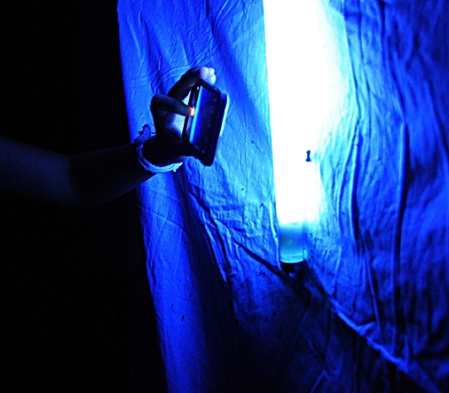 The light trap last year drew moths and photographers alike. (Photo by Kathy Keatley Garvey)