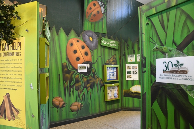 The California State Fair's Insect Pavilion lauded the Bohart Museum of Entomology for donating insect specimens. (Photo by Kathy Keatley Garvey)