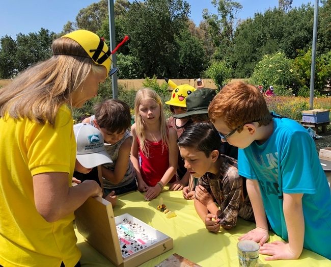 Wendy Mather of the California Master Beekeeper Program shows the youngsters bee specimens. (Photo by Kathy Keatley Garvey)