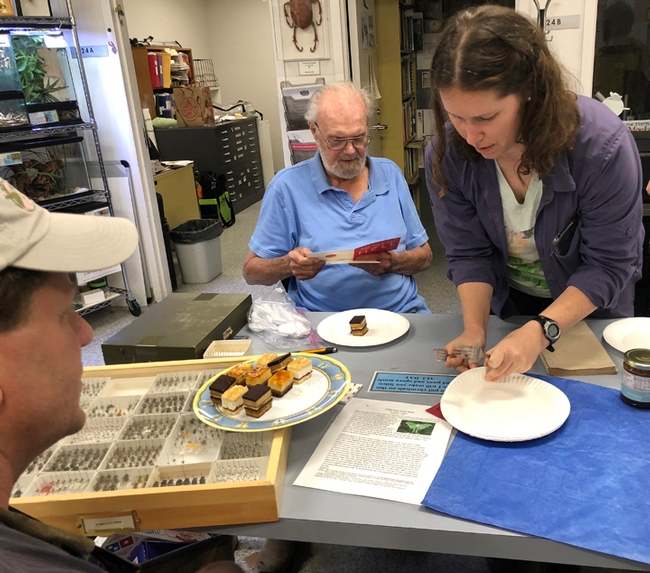Tabatha Yang, education and outreach coordinator for the Bohart Museum of Entomology, serves dessert at Robbin Thorp's birthday celebration while the distinguished emeritus professor reads the birthday wishes. (Photo by Kathy Keatley Garvey)
