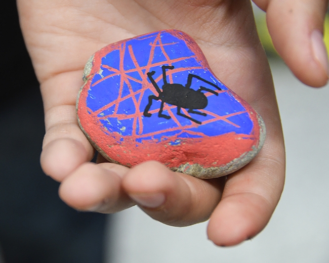 The Bohart Museum's rock painting featured not only insects, but spiders--just in time for Halloween. (Photo by Kathy Keatley Garvey)