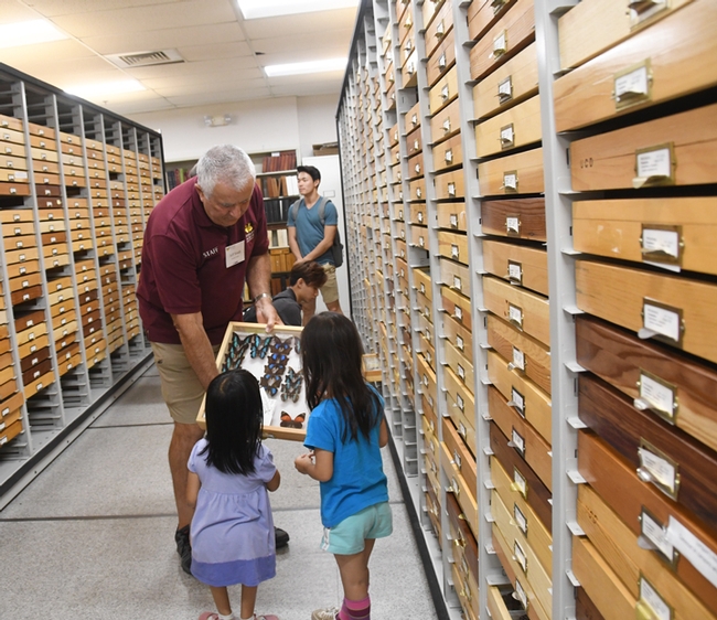 Entomologist Jeff Smith, curator of the butterfly and moth specimens at the Bohart, shows a tray to sisters Lily Edmonds of Davis, 7, and Chloe Edmonds, 6, of Davis. (Photo by Kathy Keatley Garvey)