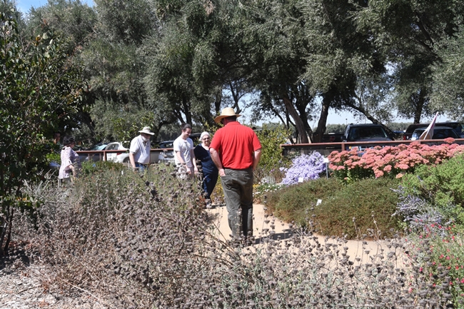 Visitors check out the flowers at the Häagen-Dazs Honey Bee Haven. (Photo by Kathy Keatley Garvey)