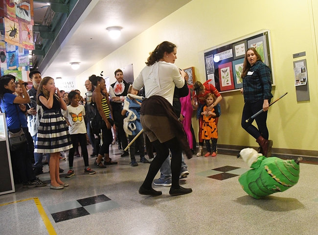 And down it goes! Tabatha Yang, Bohart education and outreach coordinator, supervises the piñata breaking game. At far right is UC Davis graduate Emma Cluff, who created the piñata with Charlotte Herbert Alberts and George Alberts. (Photo by Kathy Keatley Garvey)