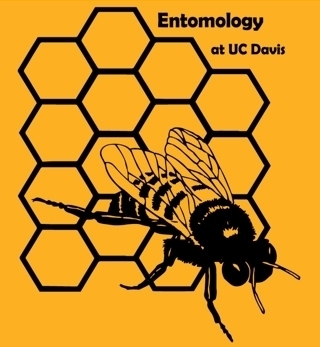 One of the favorite bee t-shirts depicts a honey bee emerging from its iconic hexagonal cells. It's the 2014 winner by then doctoral student Danny Klittich,  now a California central coast agronomist.