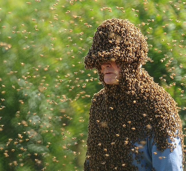 'Bee Man