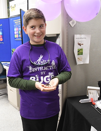 Future entomologist Delsin Russell, 9, of Vacaville received a Mexican redknee tarantula from Santa and shared it with scientists at the Bohart Museum of Entomology's open house on Jan. 12. (Photo by Kathy Keatley Garvey)