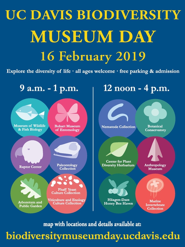 The UC Davis Biodiversity Museum Day poster indicates the staggered hours.