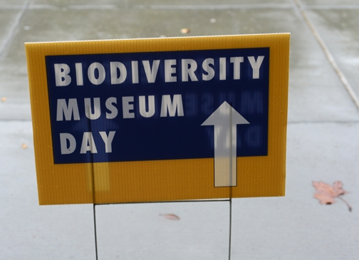 Follow the signs at the UC Davis Biodiversity Museum Day, set Saturday, Feb. 16. (Photo by Kathy Keatley Garvey)