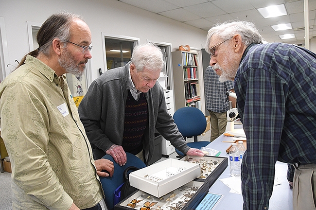 Lepidopterists (from left) Paul Johnson, Jerry Powell and Bill Patterson discuss butterfly species. (Photo by Kathy Keatley Garvey)