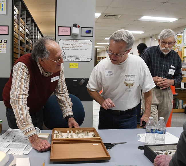 John Lane (left) and Larry Allen discuss specimens. At far right is Bill Patterson. (Photo by Kathy Keatley Garvey)